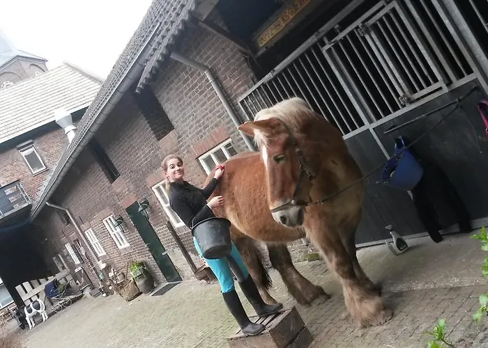 Brigidahoeve